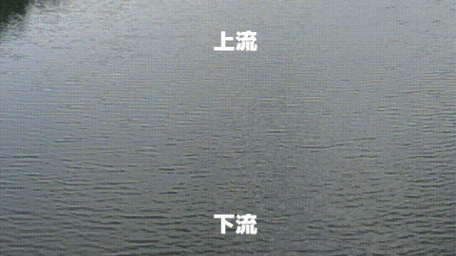 002-2.gif