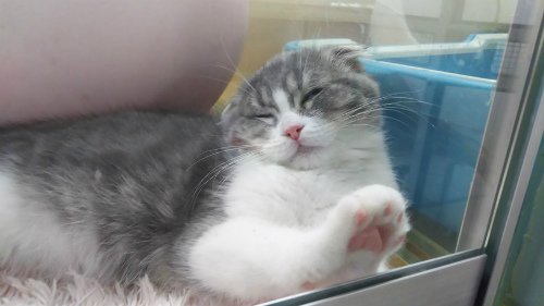 17546915_1929179637326462_863217134