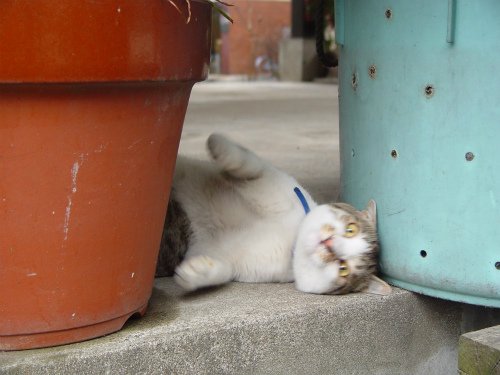 17635513_10206777757601418_41350524