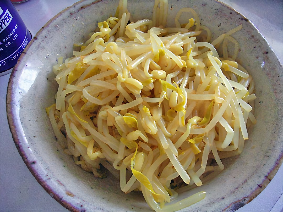 2_moyashi_curry_photos_v2_x2.jpg