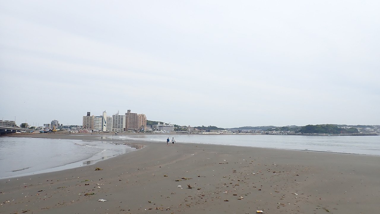 P6053159.jpg