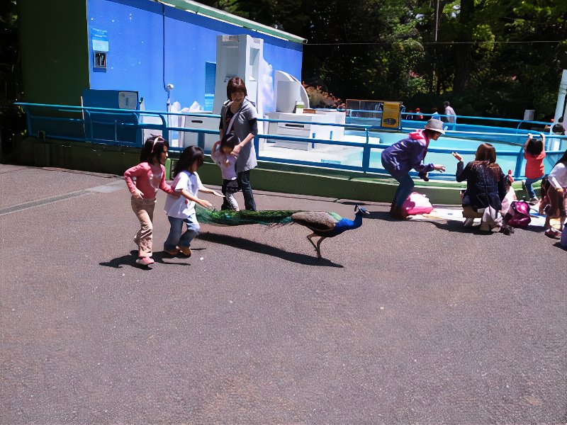 007_photos_v2_x2.jpg