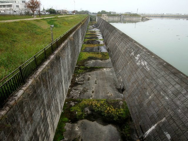 017-topaz-standard v2-640w.jpg