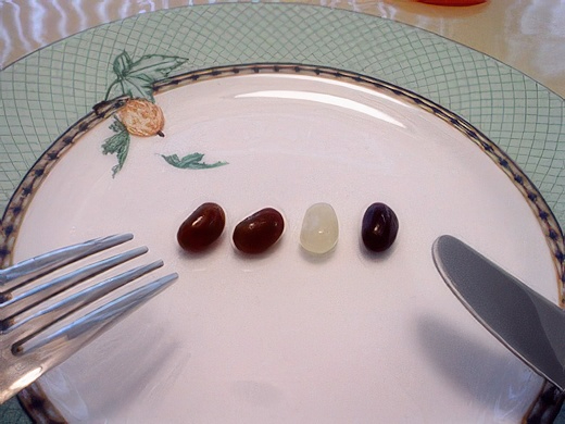 22-topaz-standard v2-2x.jpg