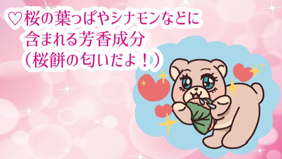 かわいいたんご-4.jpg