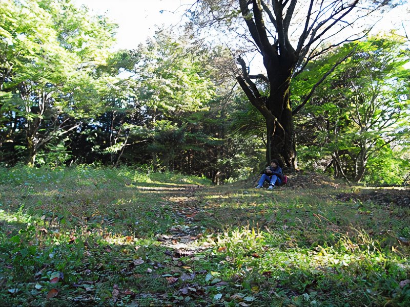 017_photos_v2_x2.jpg