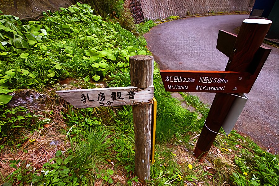 etc_IMG_8696_photos_v2_x2.jpg