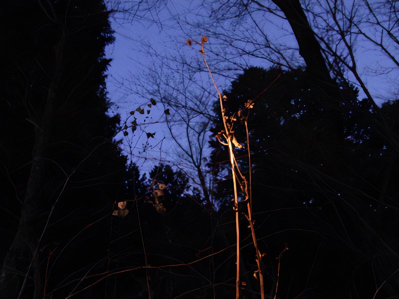 15_photos_v2_x2.jpg
