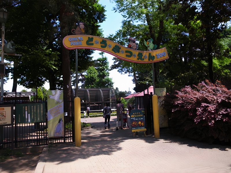 011_photos_v2_x2.jpg