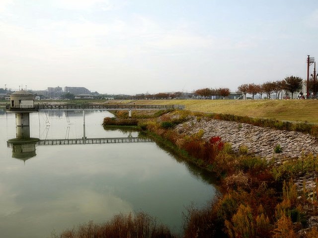 022-topaz-standard v2-640w.jpg