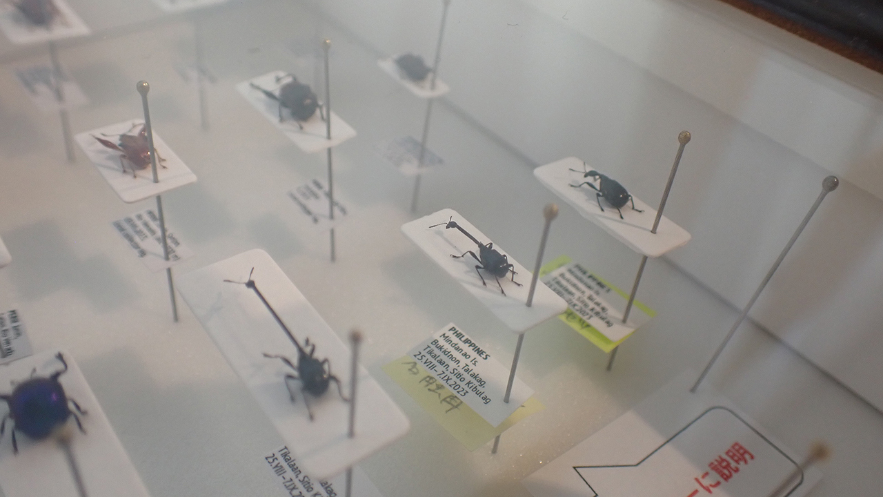 P2252082.jpg