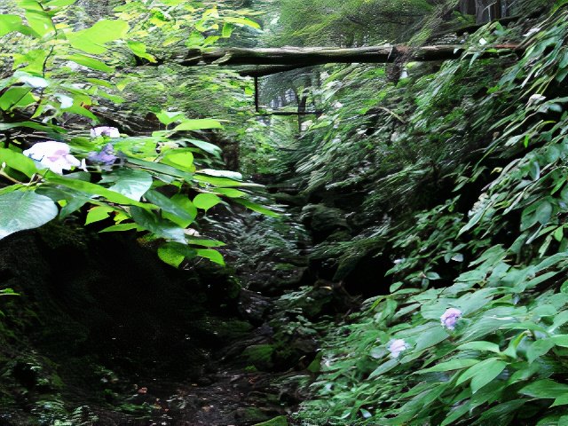 046_photos_v2_x2.jpg
