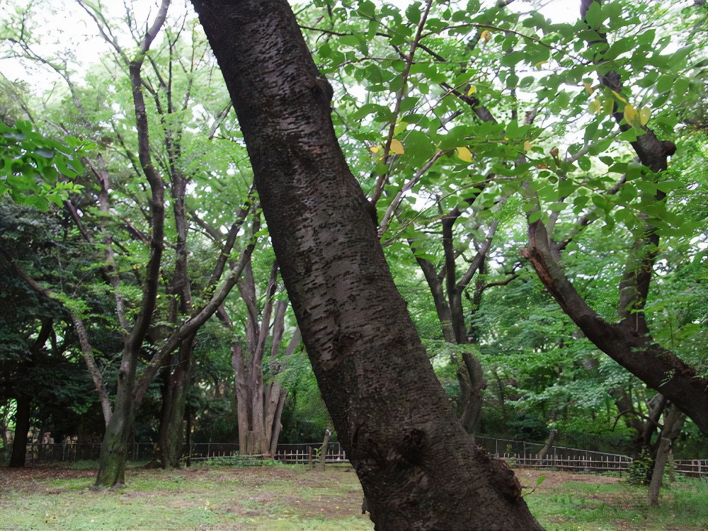 25_photos_v2_x2.jpg