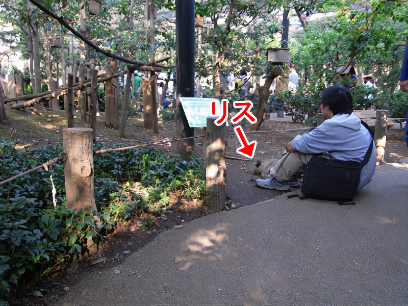 08_photos_v2_x2.jpg