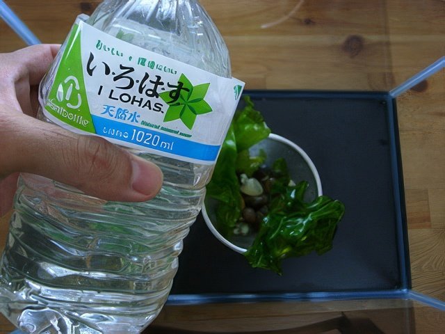 R0024376-topaz-standard v2-640w.jpg