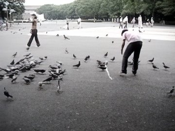 25-topaz-low resolution v1-2x.jpg