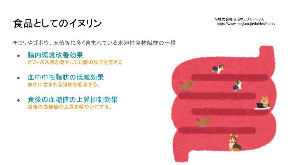 かけまわるイヌリン.jpg