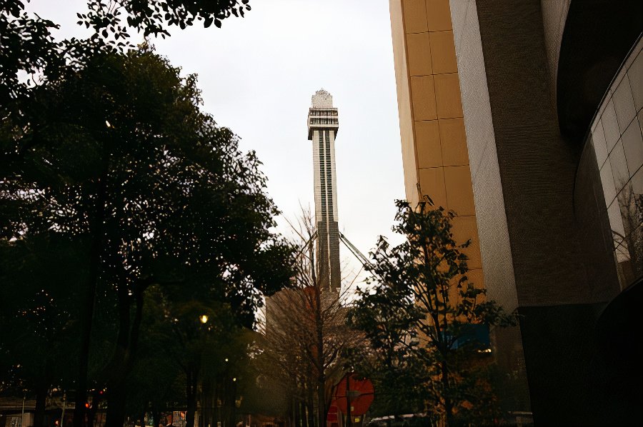 IMG_8969_photos_v2_x2.jpg