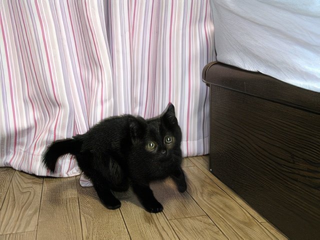 20061023_11_364-topaz-standard v2-640w.jpeg