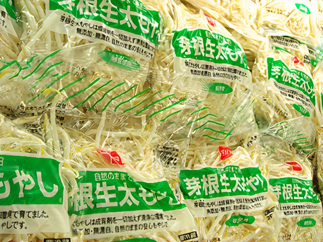 moyashi_photos_v2_x2.jpg