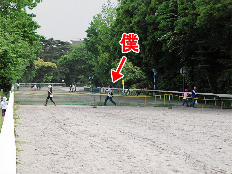12_photos_v2_x2.jpg