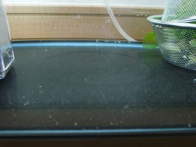 R0024402-topaz-standard v2-640w.jpg