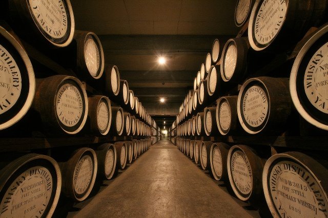 024-topaz-standard v2-640w.jpg