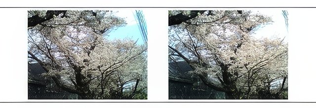 3DMG0011-topaz-standard v2-640w.jpg