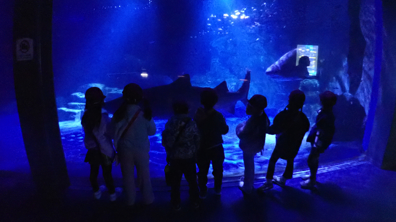 P2282281.jpg