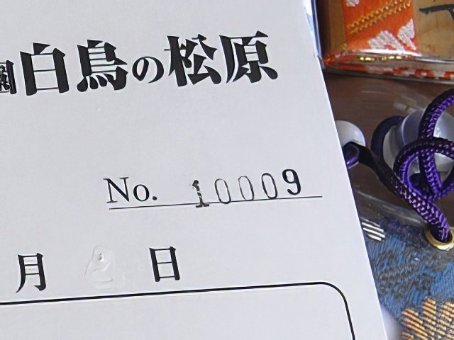 RIMG10203b-topaz-low resolution-640w.jpg