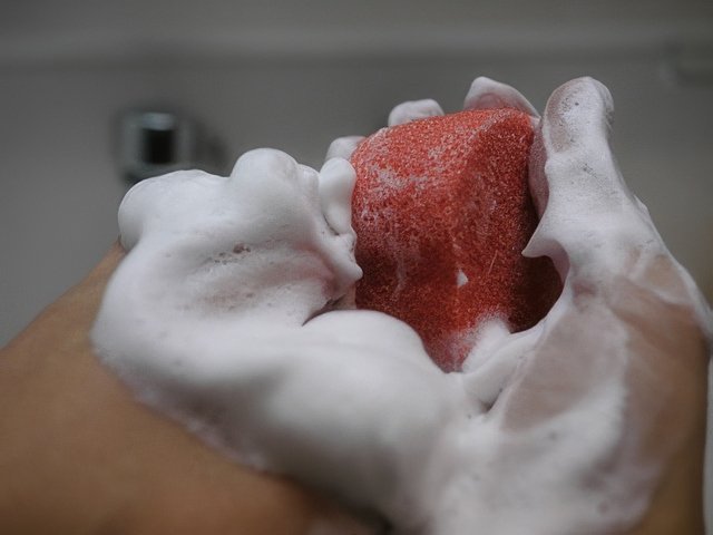 024-topaz-standard v2-640w.jpeg