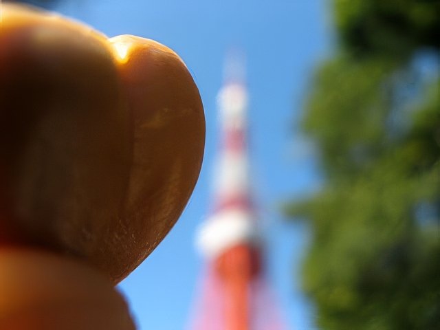 IMG_3108-topaz-standard v2-2x.jpg