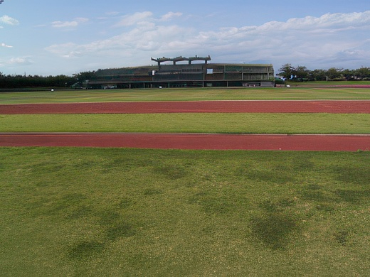 RIMG5824-topaz-standard v2-2x.jpg