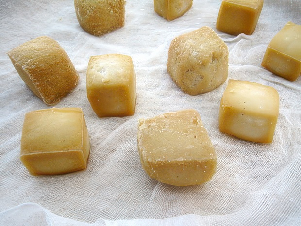 IMG_5126-topaz-standard v2-2x.jpg