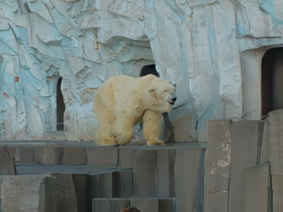 3-25-topaz-low resolution v2-2x.jpg