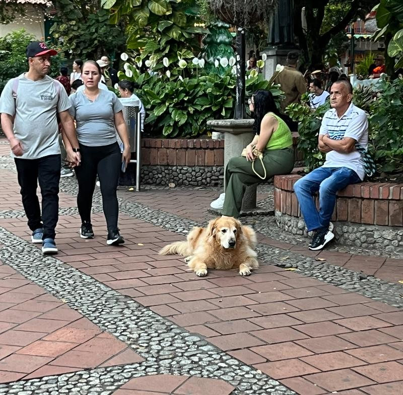 image_s012.jpg