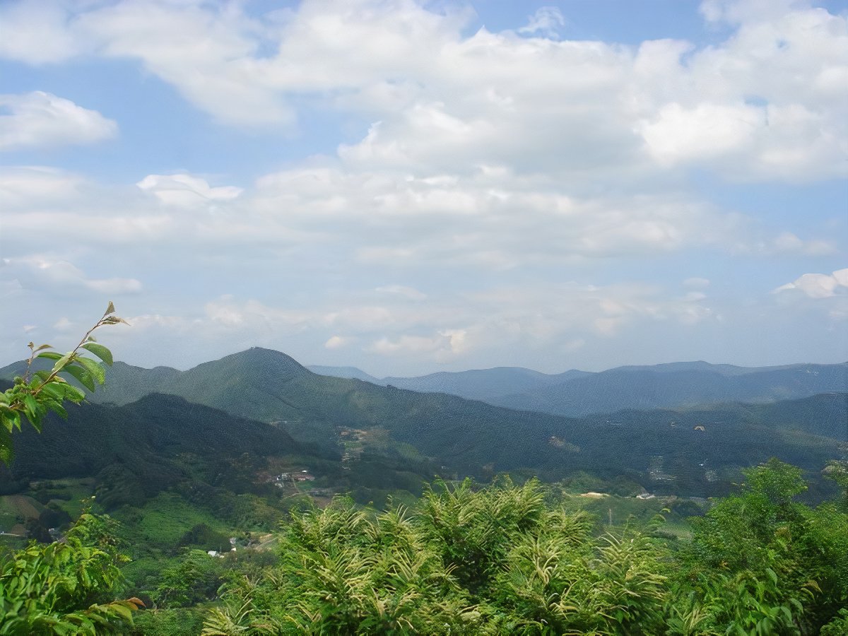 tanjyou21_photos_v2_x2.jpg