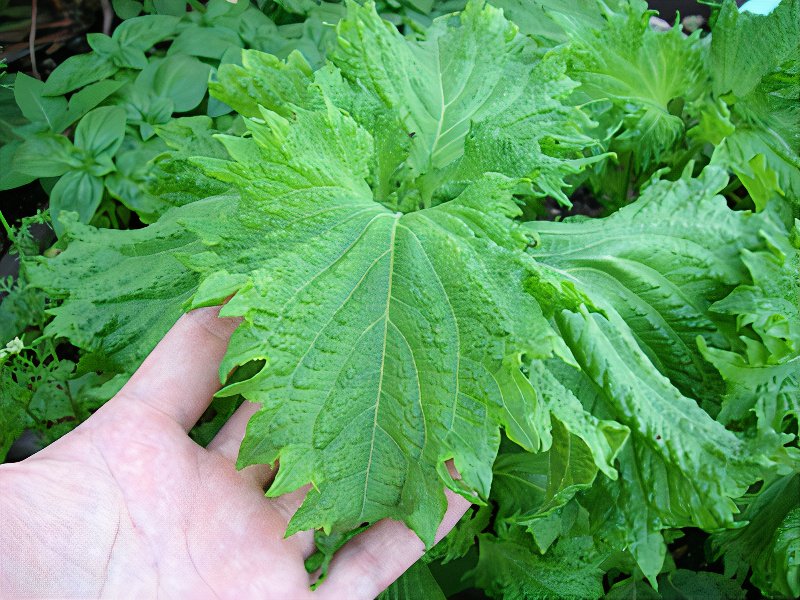2007-06-16-042_photos_v2_x2.jpg