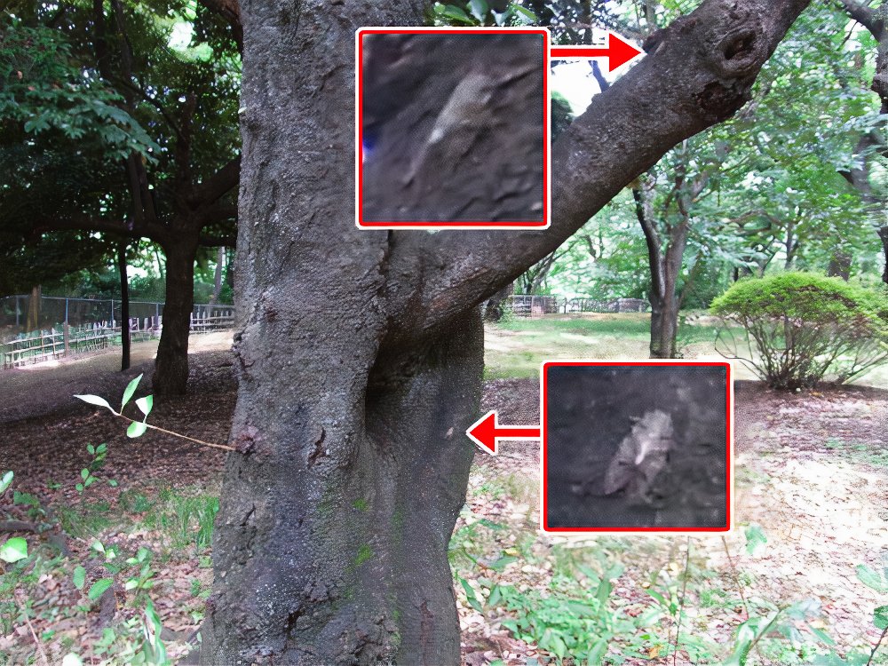14_1_photos_v2_x2.jpg