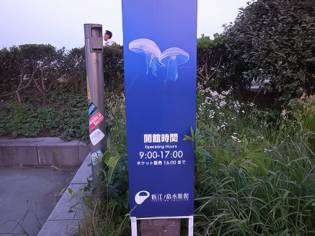 016-topaz-low resolution-640w.jpg