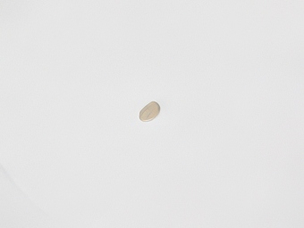 sub2-2a-topaz-standard v2-2x.jpg