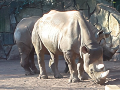 3-5-topaz-low resolution v2-2x.jpg