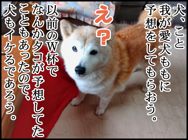 c02.jpg