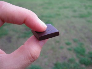 20100501_004 20100501_004