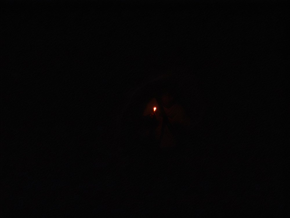 31_photos_v2_x2.jpg