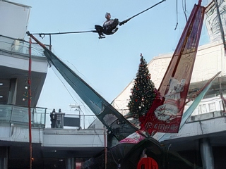 017-topaz-standard v2-2x.jpg