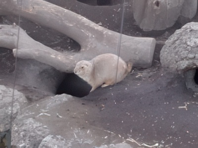 3-10-topaz-low resolution v2-2x.jpg