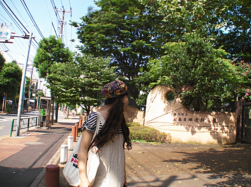 SANY0221_photos_v2_x2.jpg