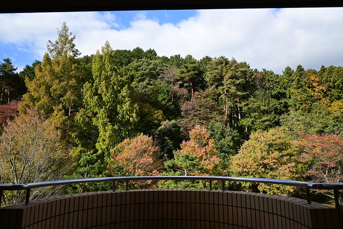 DSC_3111.JPG