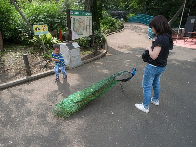 024-topaz-standard v2-640w.jpg